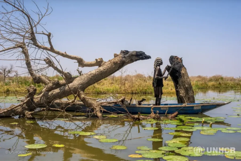 A woman cuts firewood from a dead tree near the village of Tong.
