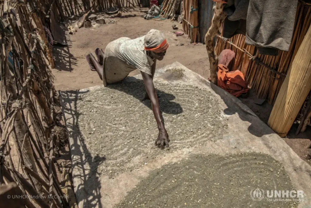 A woman spreads out crushed water lilies to dry in the sun at her home in the village of Tong.
